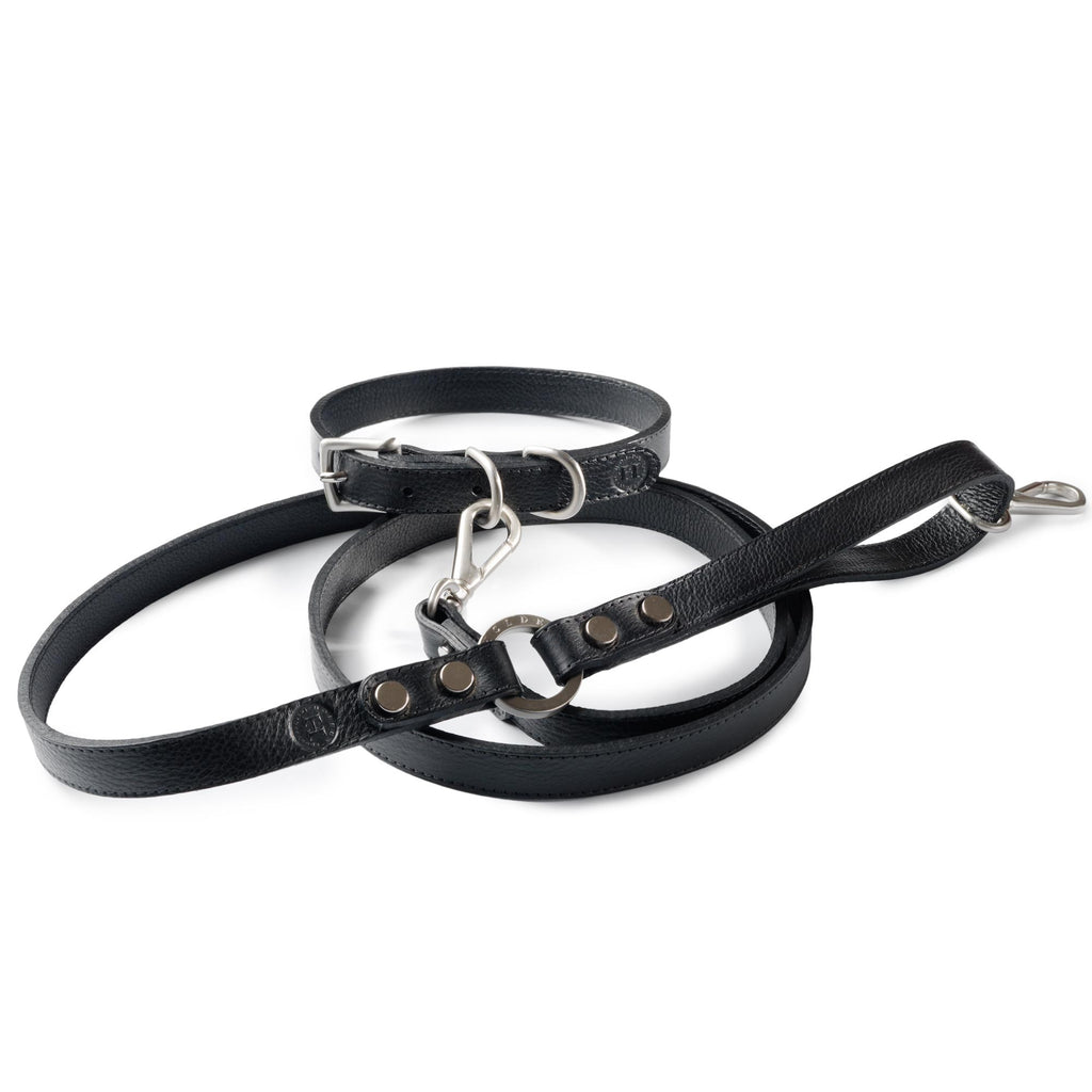 Black dog 2024 collar and lead