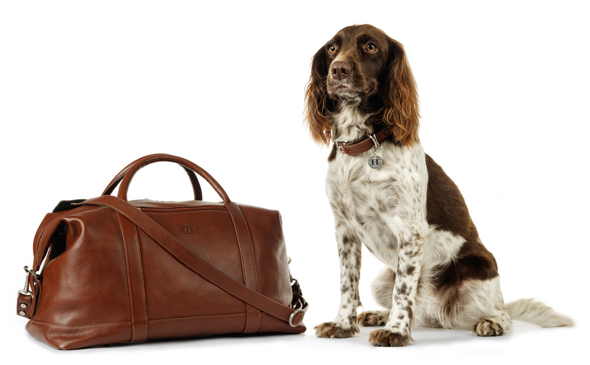 Holden Large Dog Collar & Lead - Red