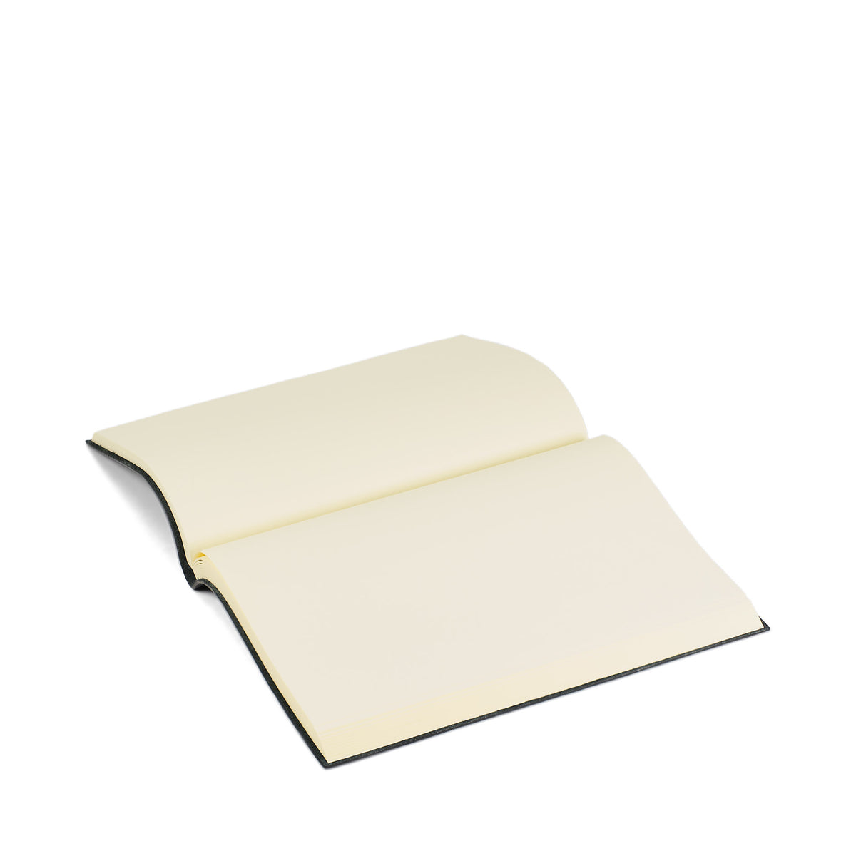 Holden Journal - Black