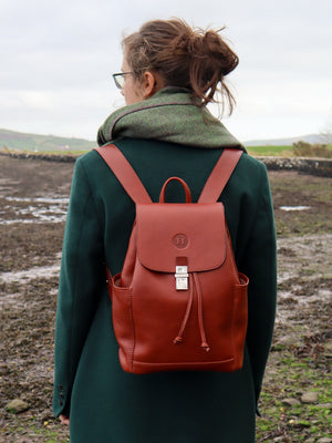 Leather drawstring duffle backpack, handmade in Ireland. Available in Chestnut, Black, Dark brown, Burgundy, Navy and Red. Back view